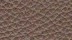 Vachette Excellium Marron Cendré