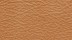 Vachette Excellium Camel