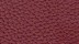 Vachette Premium 6501