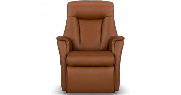VIKING Fauteuil Releveur Motoris� tissu ou cuir