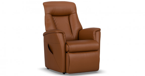 VIKING Fauteuil Releveur Motoris� tissu ou cuir
