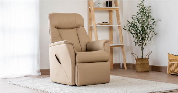 VIKING Fauteuil Releveur Motoris� tissu ou cuir
