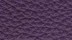 Vachette Premium Prune