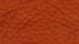 Microfibre 06