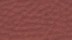 Microfibre Marrone