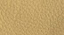 Vachette Premium 3006 Jaune clair