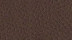 Mozart Marron
