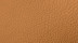 Vachette Premium Camel New