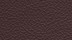 Vachette Podium Chocolat 1008