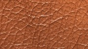 Buffle Brandy 5003