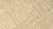 Tissu JOYCE Beige 120